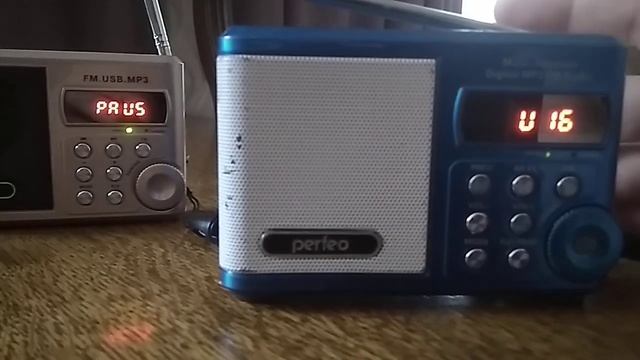 Perfeo Sound Ranger