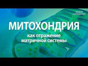 Митохондрия как отражение матричной системы в человеке #Гарат #ШколаСорадение