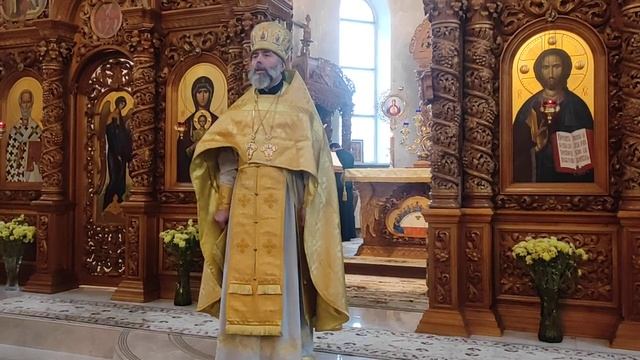 ☦️ 11.12.2022 г. Проповедь прот. Андрея Павлюка "Об исцелении сгорбленной женщины" смотреть онлайн