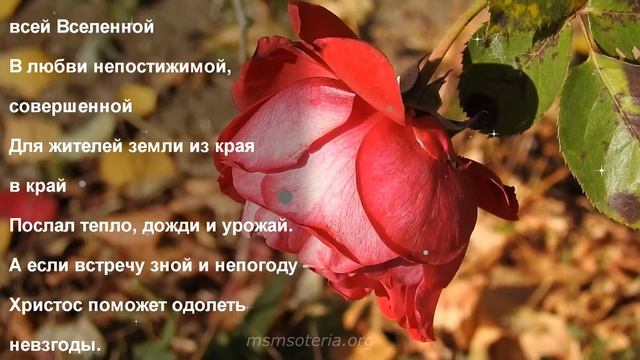 Благодарность Богу. Стихи благодарения ? смотреть онлайн