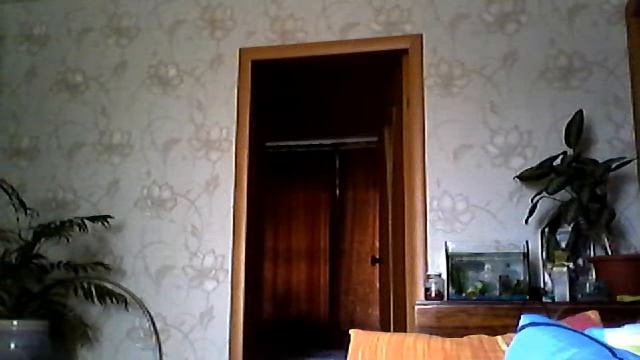 нло спряталось в комнате 1 смотреть онлайн