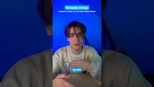 Почему когда гладишь кошку она когтями жмац-жмац? смотреть онлайн