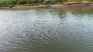 Рыбалка в Казахстане 2023: Невероятное количество рыбы!