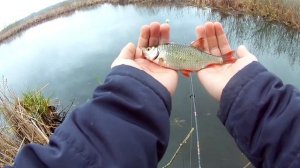 Рыбалка на Попла-Попер / весенний жор плотвы