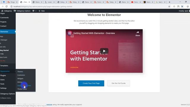 Import Demo Data - "Delegency | Creative Agency WordPress Theme" смотреть онлайн