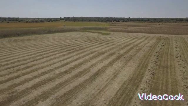 согребаем грабли харвест смотреть онлайн
