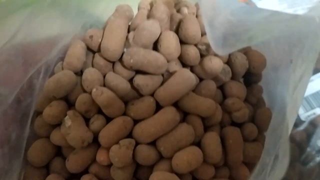 Фитильный полив орхидей.Пересадка орхидеи Попугай и Лиодора.Плесень на корнях хорошо или плохо❓ смотреть онлайн