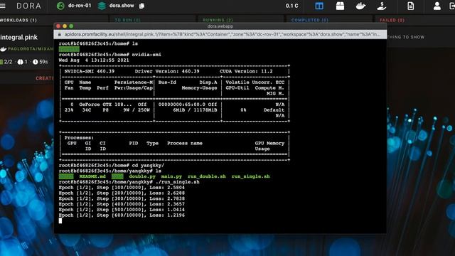 Introduction to Dora смотреть онлайн