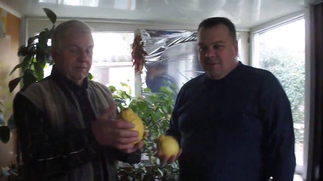 Зима 2016 все рады урожаю смотреть онлайн