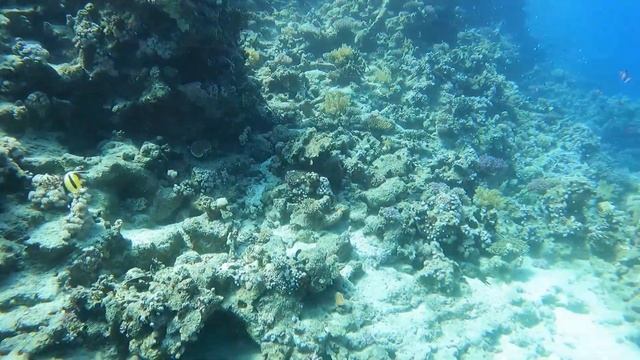 Египет часть 4 Шарм эль Шейх 2023г. Amphoras Beach Hotel 5* смотреть онлайн