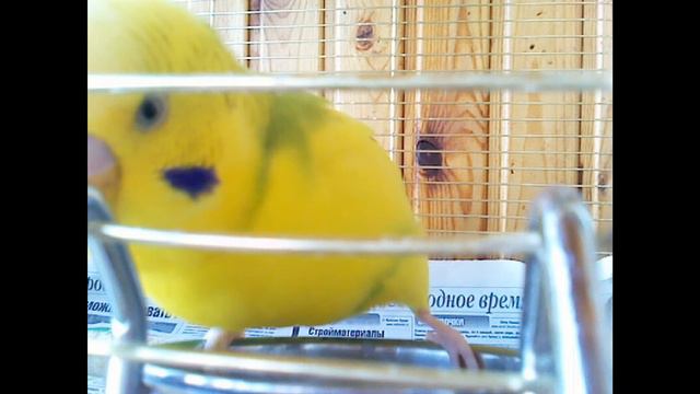 кеша ты навсегда останешься в моём сердце хоть ты и не с нами смотреть онлайн