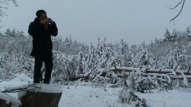 Анатолій Тарасенко - Сніг кружляє❄( cover version (Флояра floyara, пан флейта pan flute) смотреть онлайн