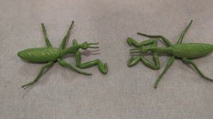 Богомол против богомола