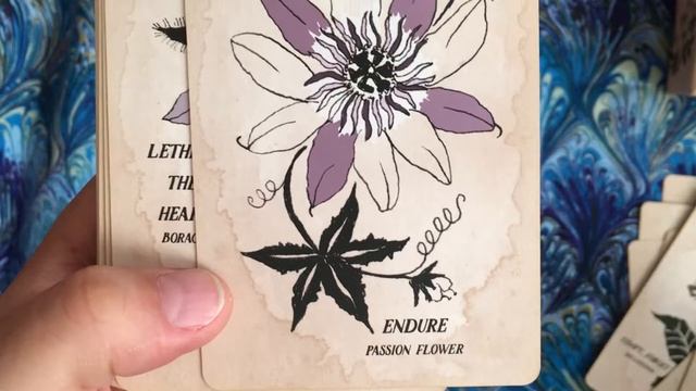 Leila + Olive Pythia Botanica Oracle Deck walkthrough смотреть онлайн