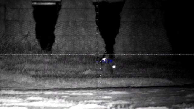 Air Rifle Rabbit Hunting | FX Maverick | Pard DS-35 | Pest Control | 30 Headshots | Shooting Rabbit смотреть онлайн