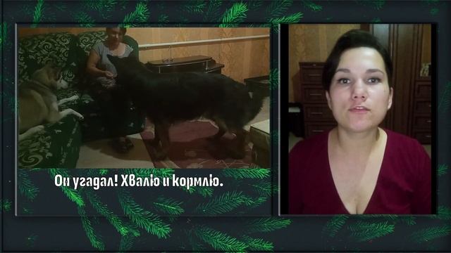 Шейпинг и фри-шейпинг. Просто трюки или что-то большее? смотреть онлайн