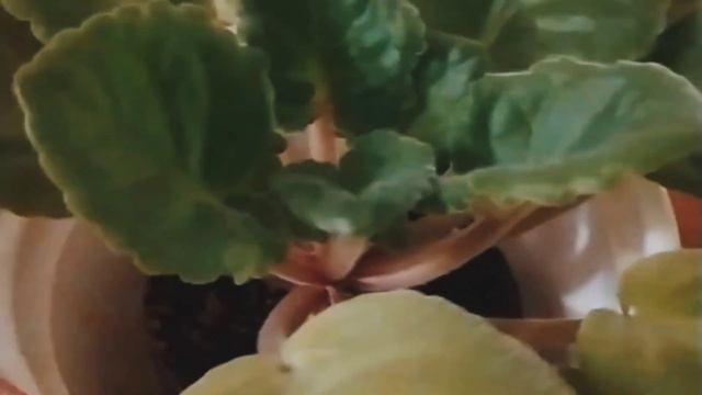 Второй выходной. Красивые места и вкусные сырники. смотреть онлайн