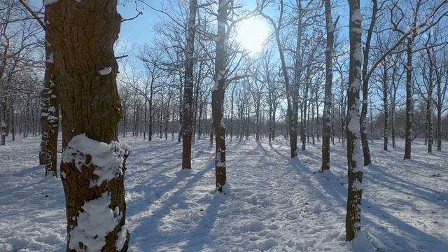 Интуитивное питание .Почему диеты всегда провал