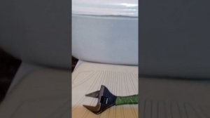 ⁉️Замена общего Крана на Стояке холодной воды на квартиру