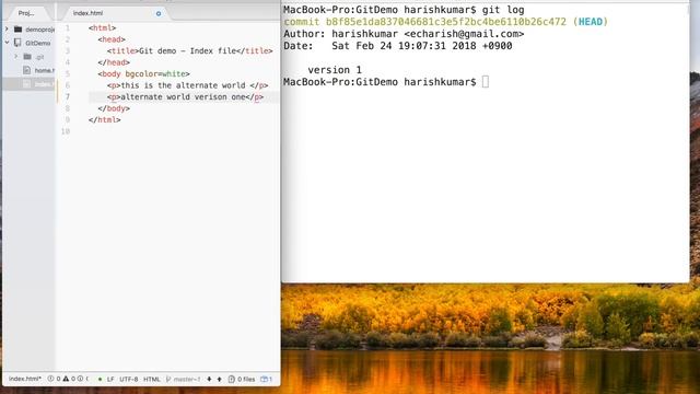 Chapter 5 : GIT / GITHUB - Working with GIT LOG смотреть онлайн