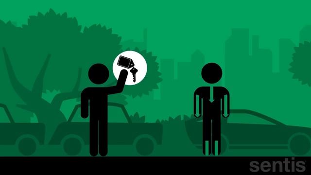 Emotions And The Brain