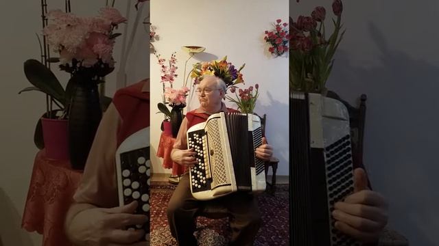 Бабочка.Новая песня Е.Север. смотреть онлайн