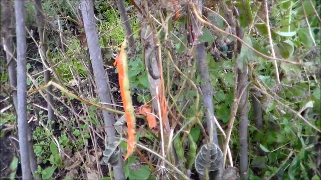 Строительные Тайны