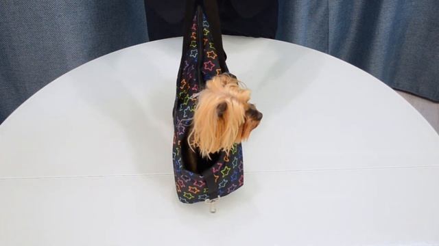 Переноска для животных,кошек и собак(САНКТ-ПЕТЕРБУРГ) смотреть онлайн