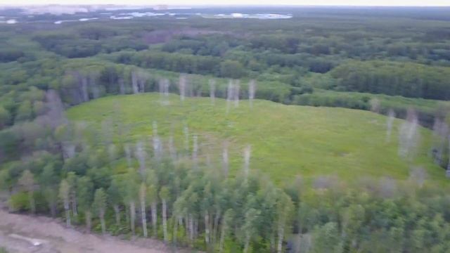 Мурино 20-07-17 смотреть онлайн