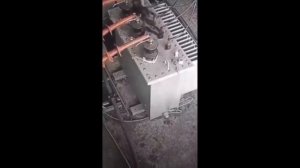 Животные против электроэнергии. Несчастные случаи