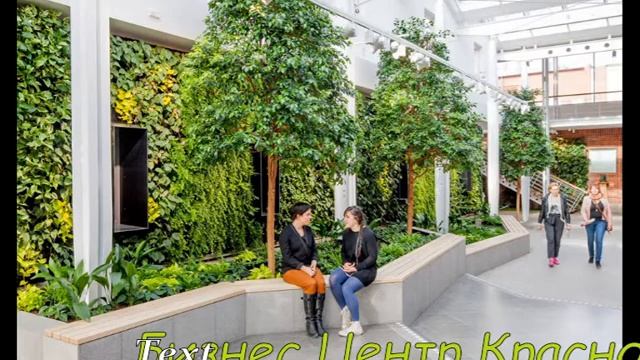 Офисы в Бизнес Центре класса "А" - инвестирование, бизнес .... смотреть онлайн