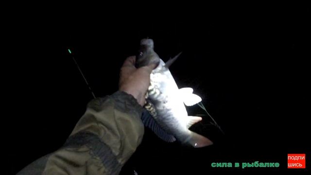 Рыбалка на сазана / снасть донки / 24 часа в лодке. смотреть онлайн