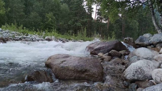 Звуки природы. Горная река. Алтай. Созерцание. Релакс. смотреть онлайн