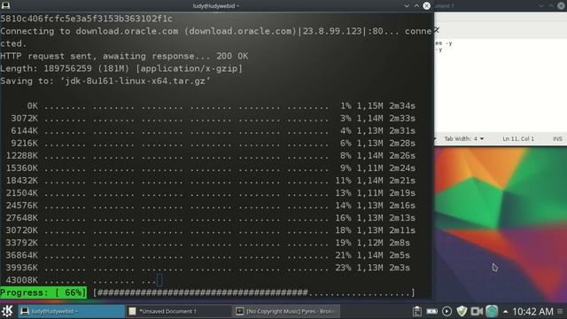 Tutorial Install Java Di Linux Mint Ubuntu Elementary OS смотреть онлайн