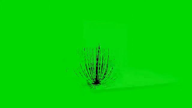 ao:SPINY AGAVE смотреть онлайн