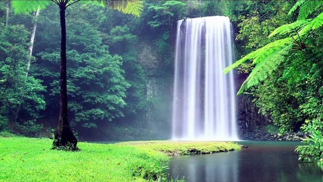 Relaxing Nature Music For Waking And Enjoying Your Day