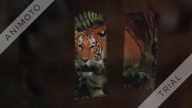 Мантра помогает развить интеллектуальные способности смотреть онлайн