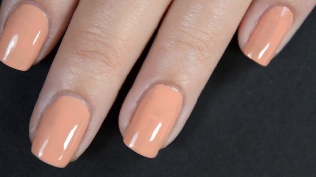 LE CHAT | ENGLISH ROSE COLLECTION | LIVE SWATCHES