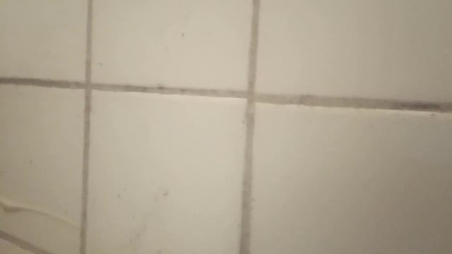 Как избавиться от грибка в ванной