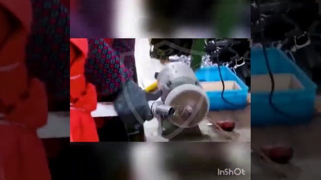 Производство самокатов Urban Scooter смотреть онлайн