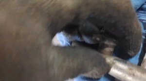 Замена уплотнительных колец форсунок SY New Бензин