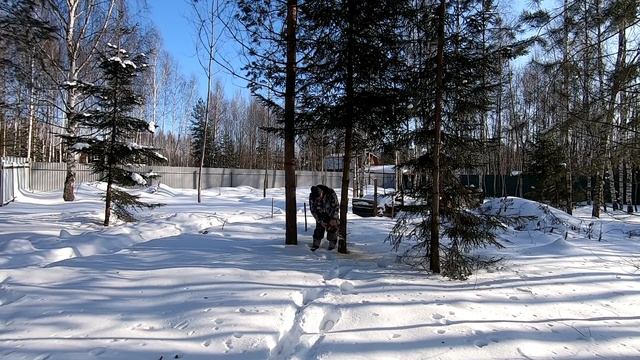 подготовка кур к лютым морозам смотреть онлайн
