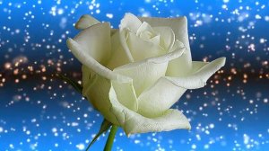 Футаж. Цветочный фон 169