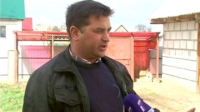 Охотник Алексей Кулагин и его Западно-сибирская лайка Кучун ( БКО "Сезон охоты") смотреть онлайн