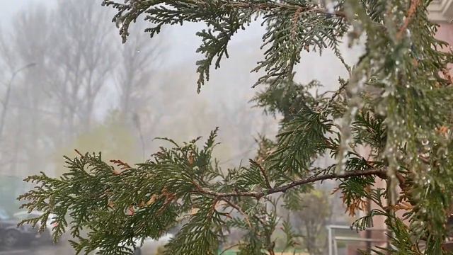 Один туманный день в Москве смотреть онлайн