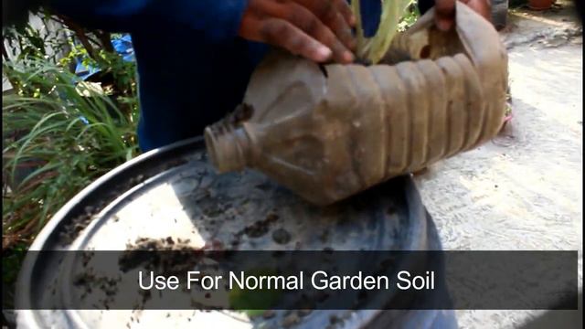 How To Grow & Care Arrowhead Plant смотреть онлайн