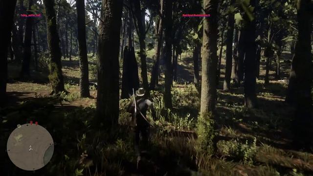 Red Dead Redemption 2 American Ginseng смотреть онлайн