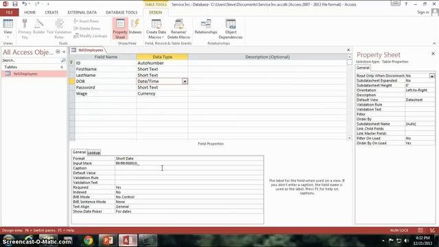 3. Options For Our Data (Programming In Microsoft Access 2013) ? смотреть онлайн