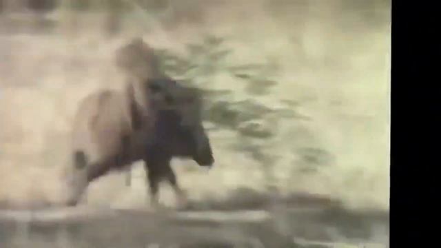 Хан Соло таксист (переозвучка)