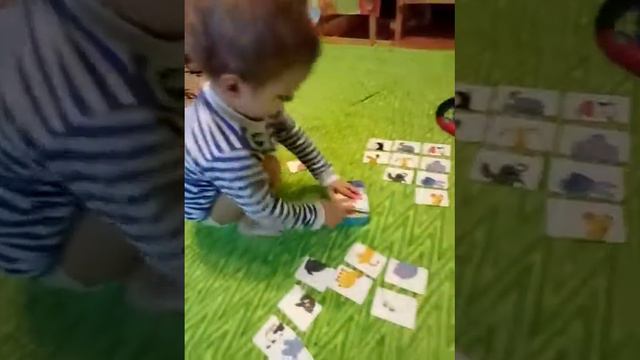 Изучаем животных#паззлы#карточки#развивашка смотреть онлайн